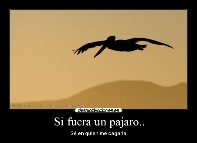 Si fuera un pajaro.. -