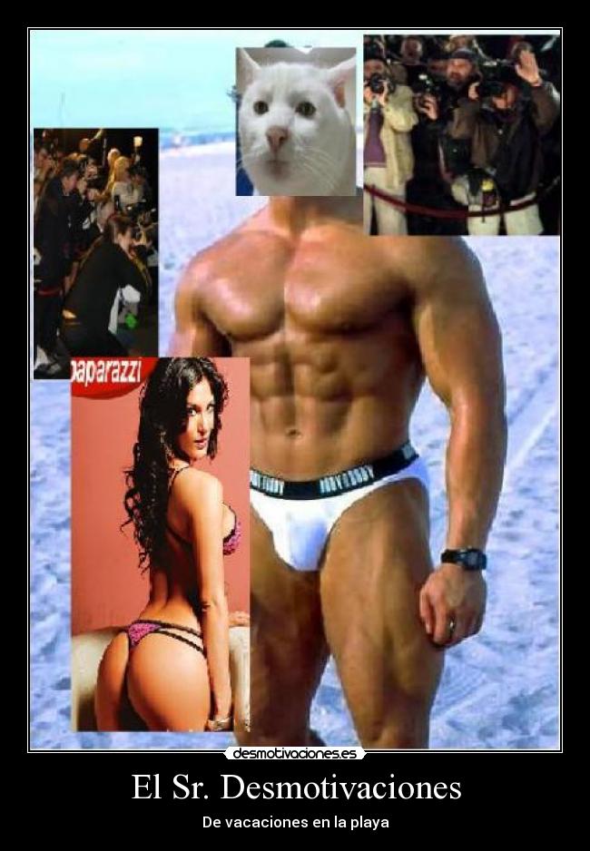 El Sr. Desmotivaciones - De vacaciones en la playa