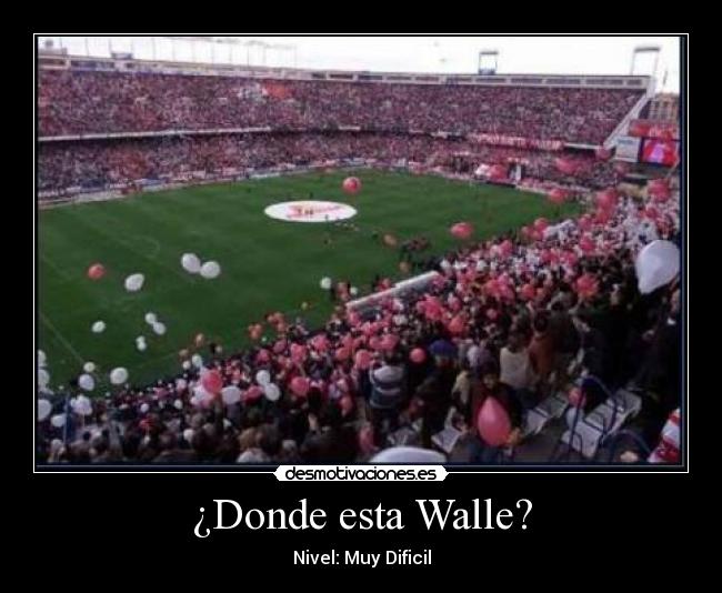 ¿Donde esta Walle? - 