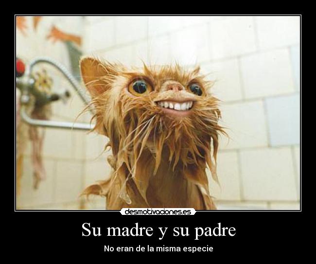 Su madre y su padre - 