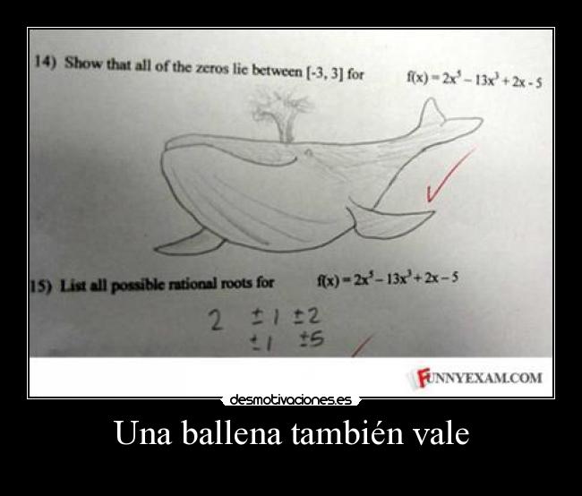 Una ballena también vale -