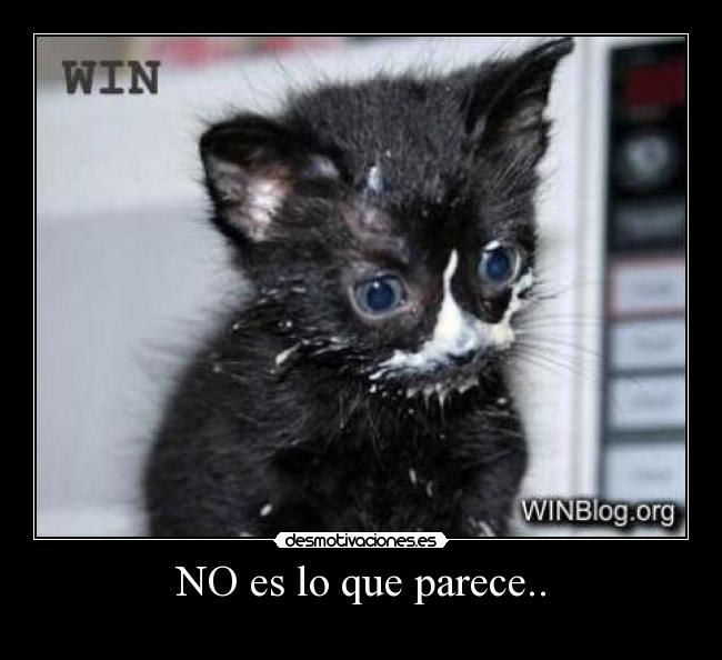 carteles miedo desmotivaciones