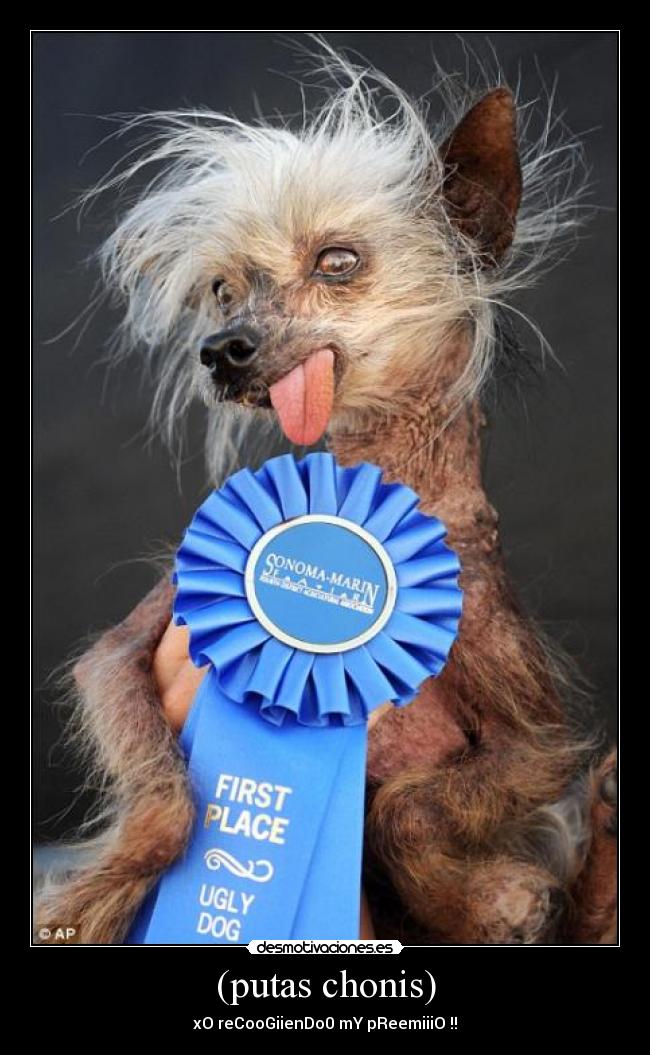 carteles martalu desmotivaciones