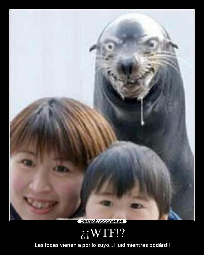 ¿¡WTF!? - 