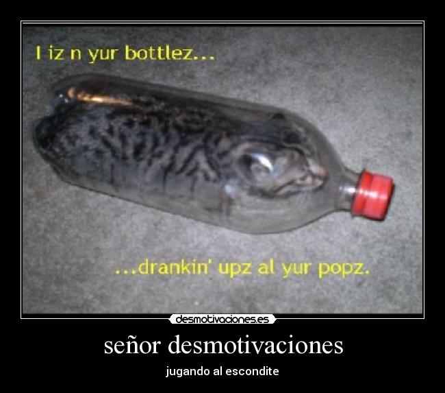señor desmotivaciones -
