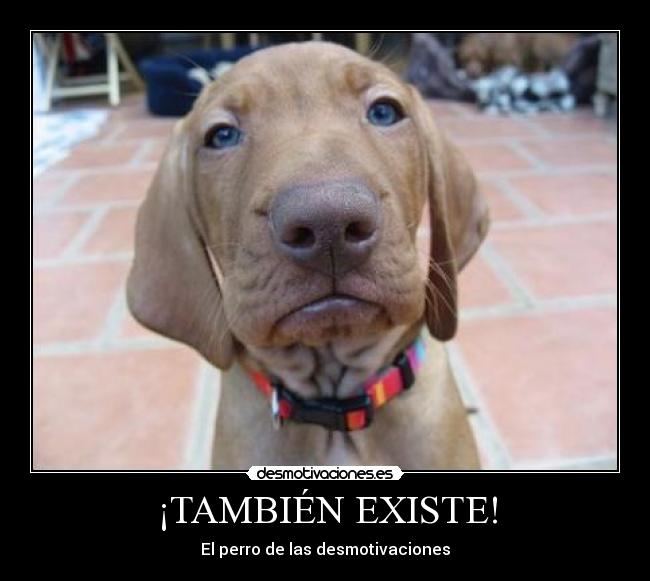 ¡TAMBIÉN EXISTE! - 