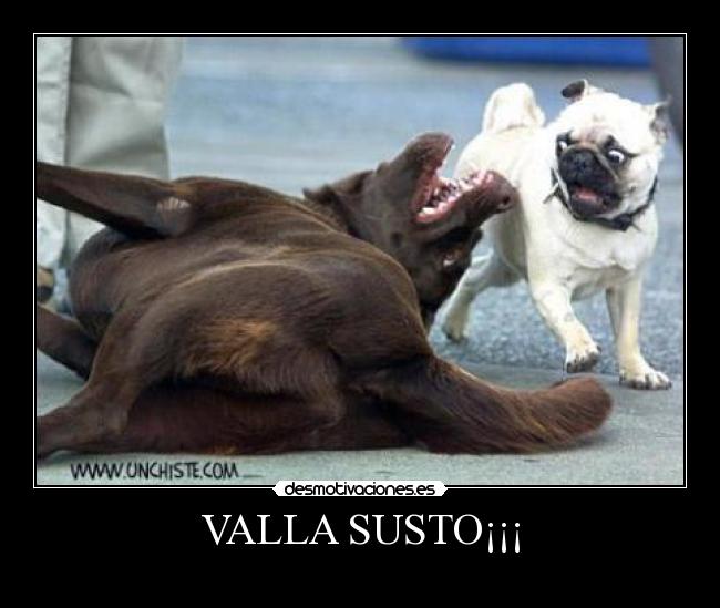 VALLA SUSTO¡¡¡ - 