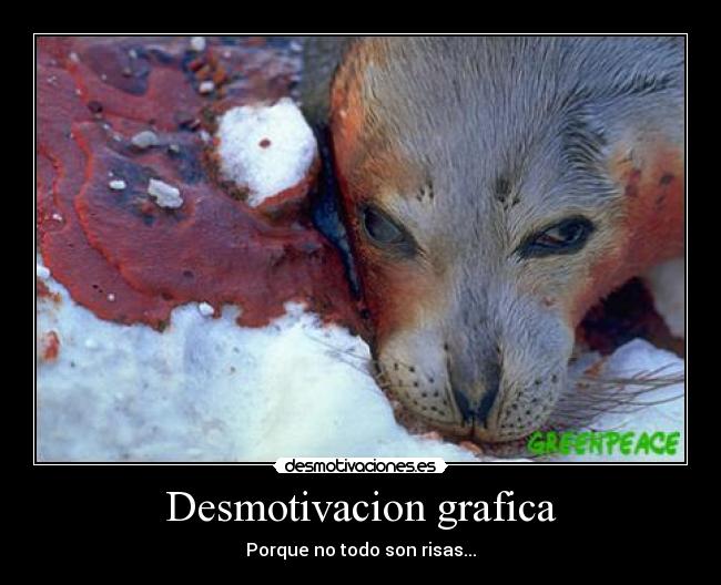 carteles muerte foca nosotros vosotros ellos desmotivaciones
