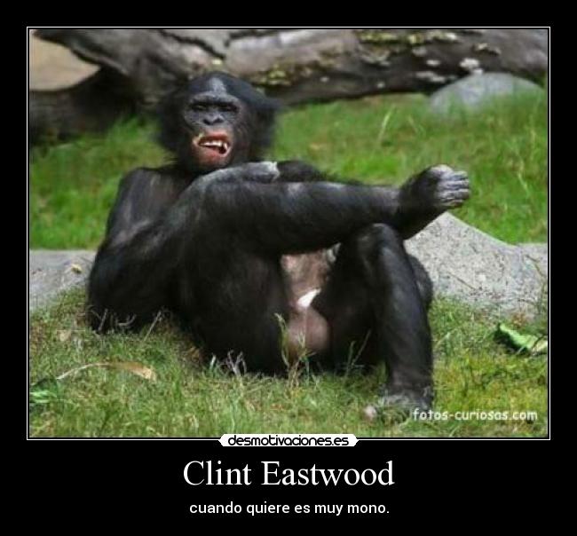 Clint Eastwood - cuando quiere es muy mono.