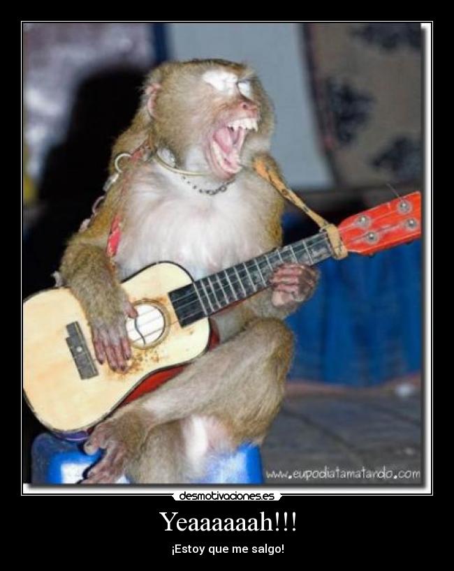Yeaaaaaah!!! - ¡Estoy que me salgo!