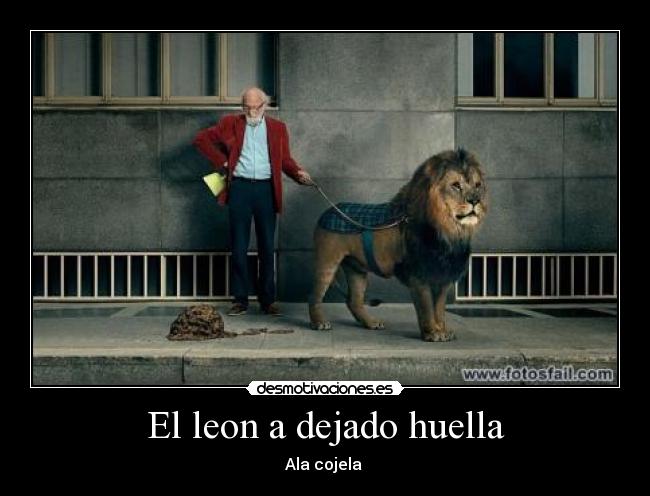 El leon a dejado huella - Ala cojela