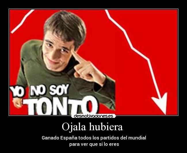 carteles soy tonto desmotivaciones