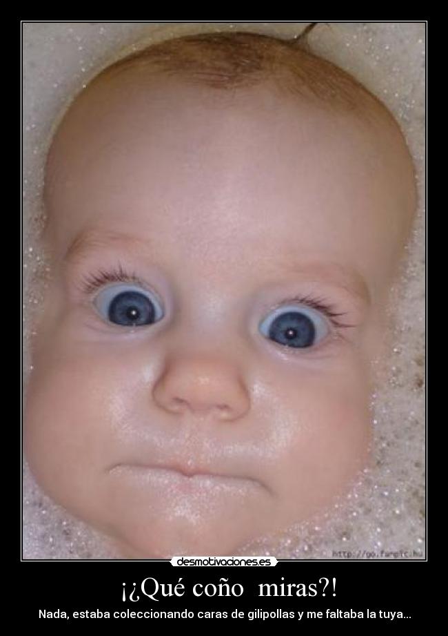  ¡¿Qué coño  miras?! - 