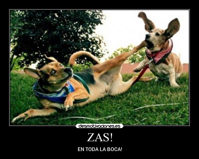 ZAS! -