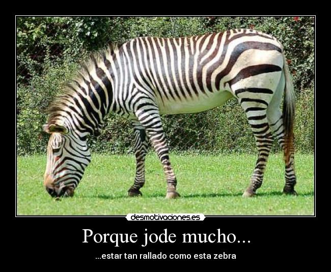 Porque jode mucho... - 