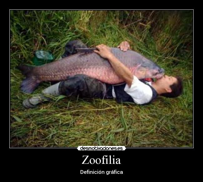 Zoofilia -