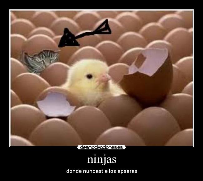 ninjas -