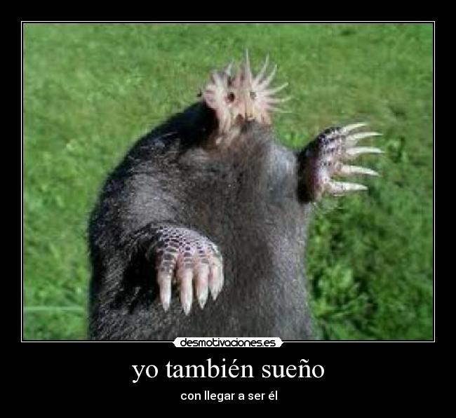 yo también sueño - con llegar a ser él