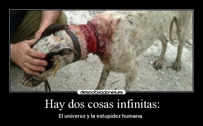 Hay dos cosas infinitas: -