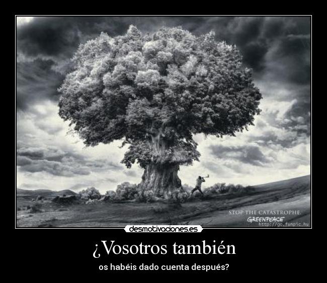 ¿Vosotros también - 