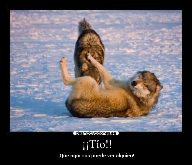 ¡¡Tío!! - ¡Que aquí nos puede ver alguien!