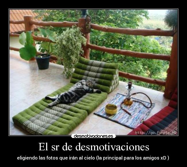 El sr de desmotivaciones -
