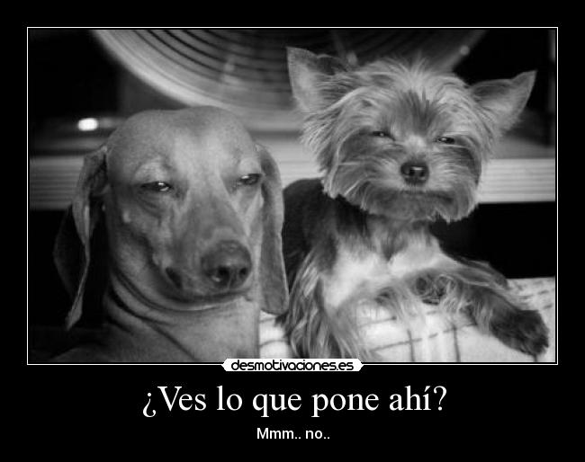 ¿Ves lo que pone ahí? - Mmm.. no..