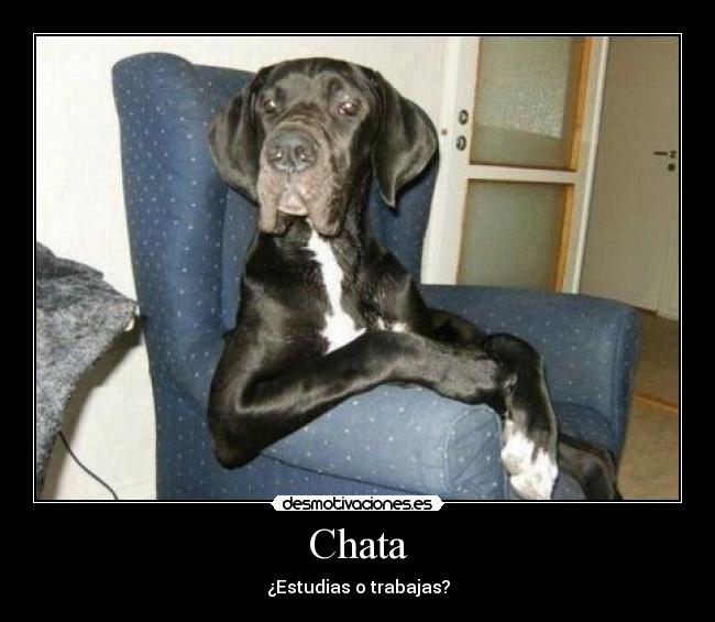Chata - ¿Estudias o trabajas?