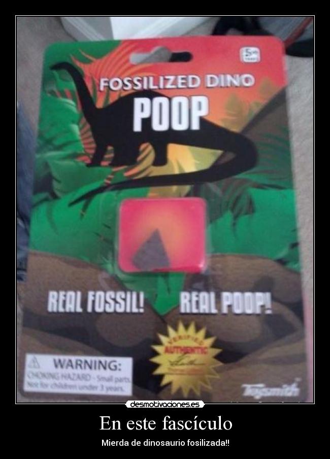 En este fascículo - Mierda de dinosaurio fosilizada!!