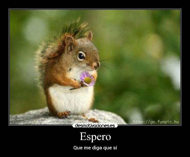 Espero -