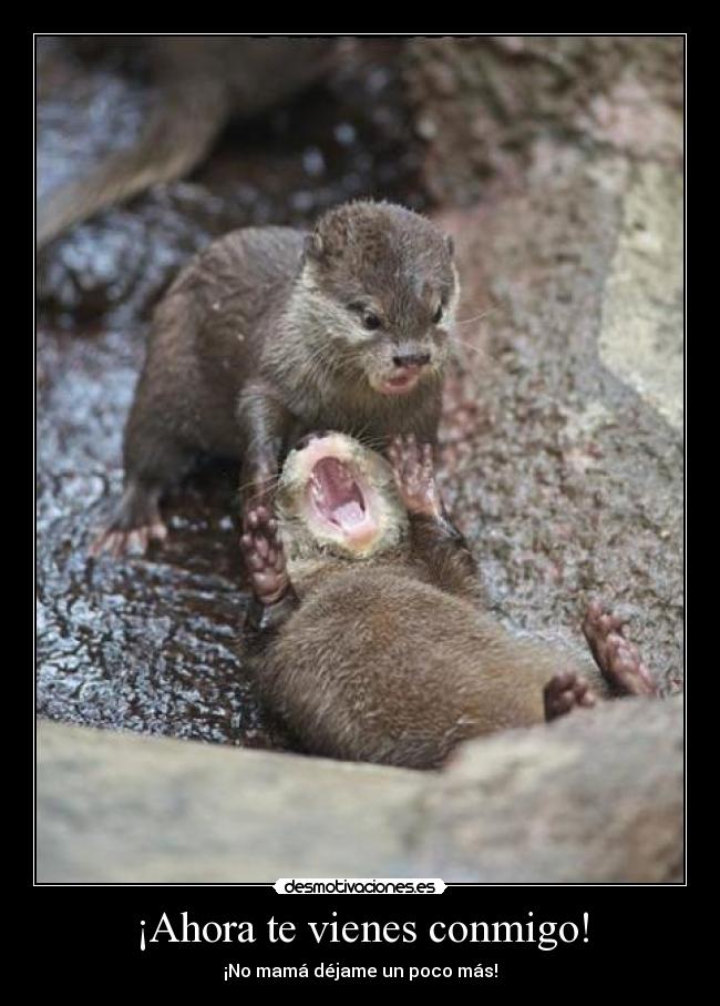 ¡Ahora te vienes conmigo! - ¡No mamá déjame un poco más!