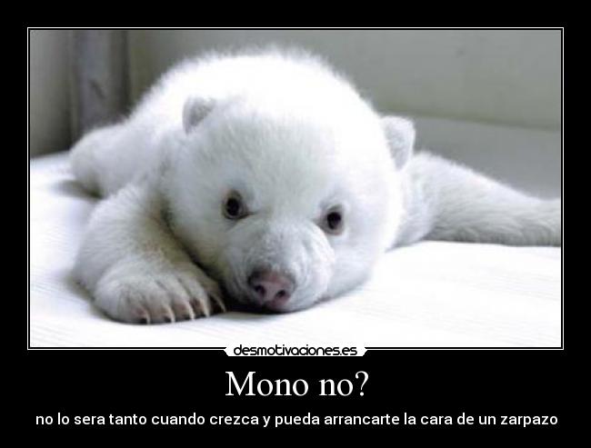 carteles cash desmotivaciones