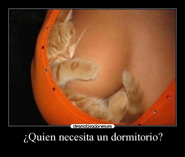 ¿Quien necesita un dormitorio? -