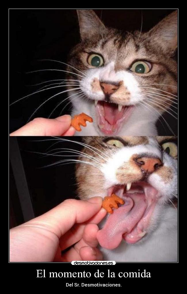 El momento de la comida - Del Sr. Desmotivaciones.