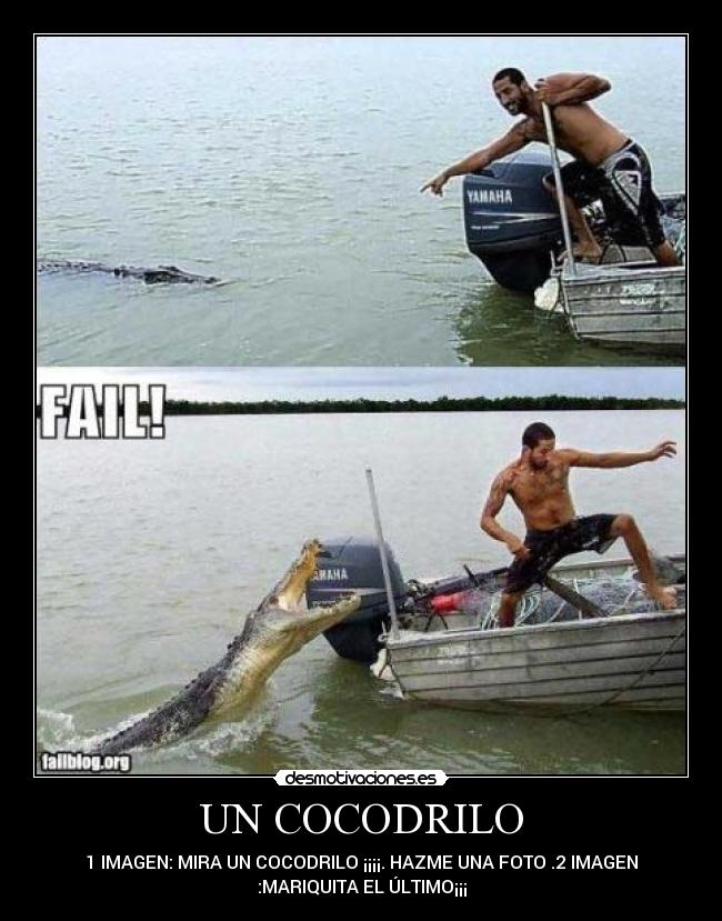 UN COCODRILO - 1 IMAGEN: MIRA UN COCODRILO ¡¡¡¡. HAZME UNA FOTO .2 IMAGEN
:MARIQUITA EL ÚLTIMO¡¡¡