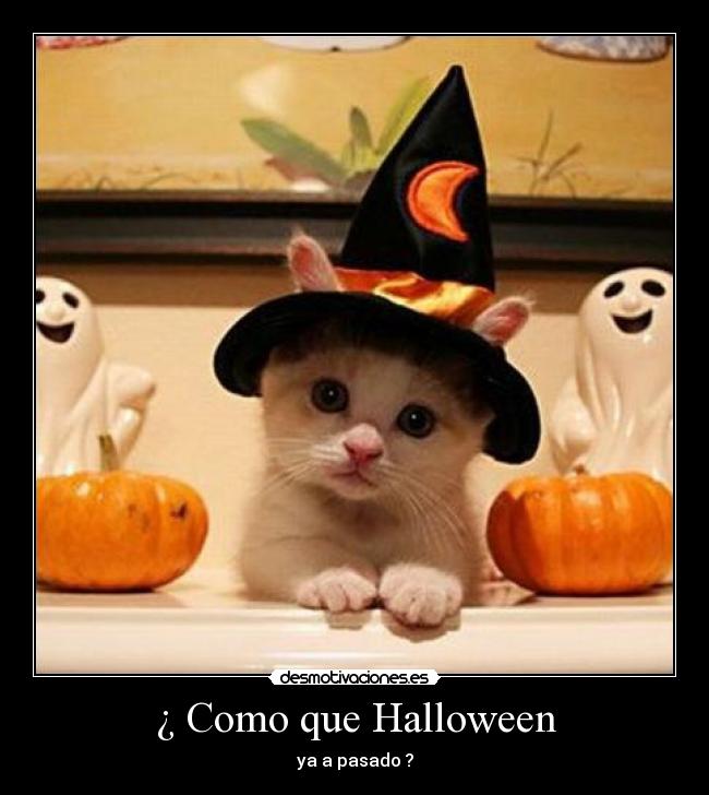¿ Como que Halloween - ya a pasado ?