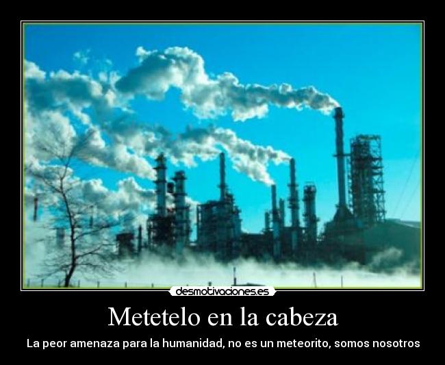 Metetelo en la cabeza - 
