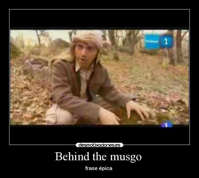 carteles - desmotivaciones