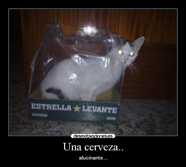 Una cerveza.. -