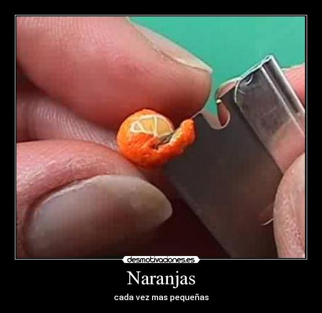 Naranjas - cada vez mas pequeñas
