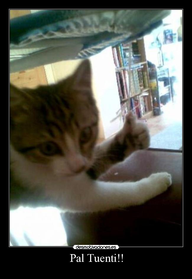 Pal Tuenti!! -