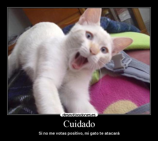 Cuidado - Si no me votas positivo, mi gato te atacará