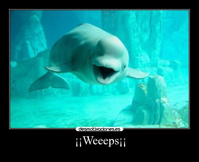 ¡¡Weeeps¡¡ -