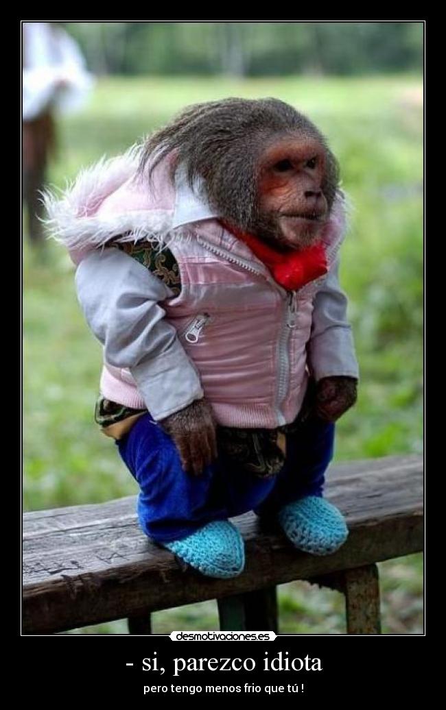 - si, parezco idiota - pero tengo menos frio que tú !