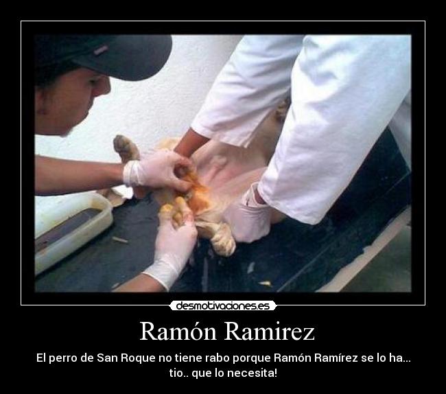 Ramón Ramirez - El perro de San Roque no tiene rabo porque Ramón Ramírez se lo ha...
tio.. que lo necesita!