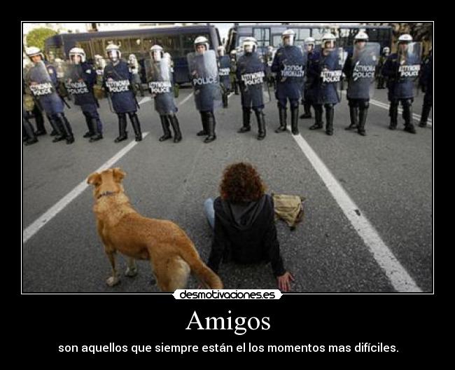 Amigos - 