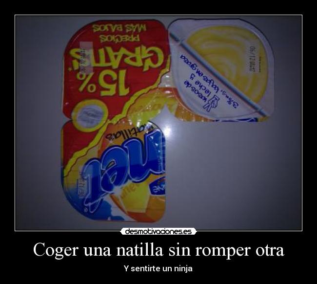 carteles natillas ninja desmotivaciones