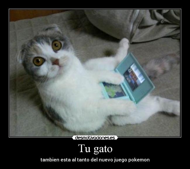 Tu gato -