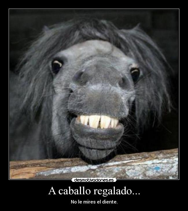 A caballo regalado... - No le mires el diente.