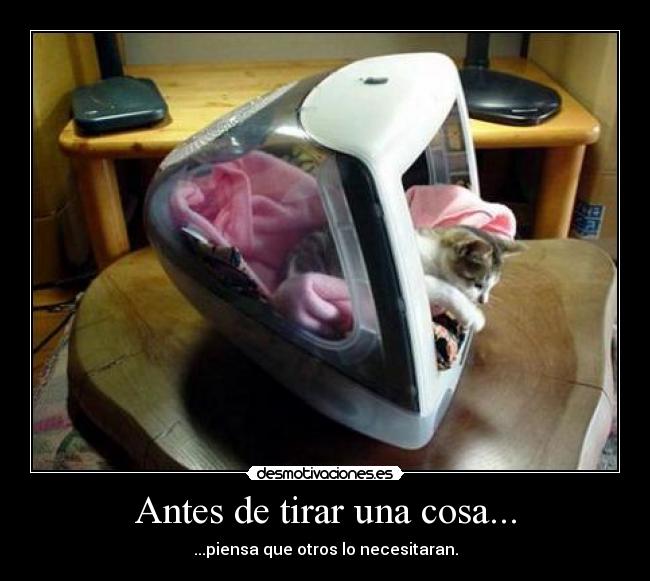 Antes de tirar una cosa... -